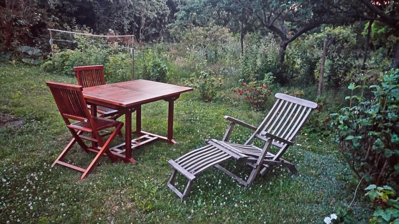 Gite La Maison Bleue ベルクハイム エクステリア 写真